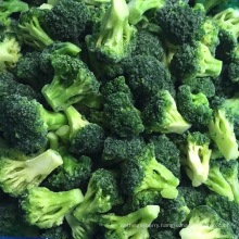 Frozen Vegetables/Frzoen Broccoli/IQF Broccoli Bulk Price From China